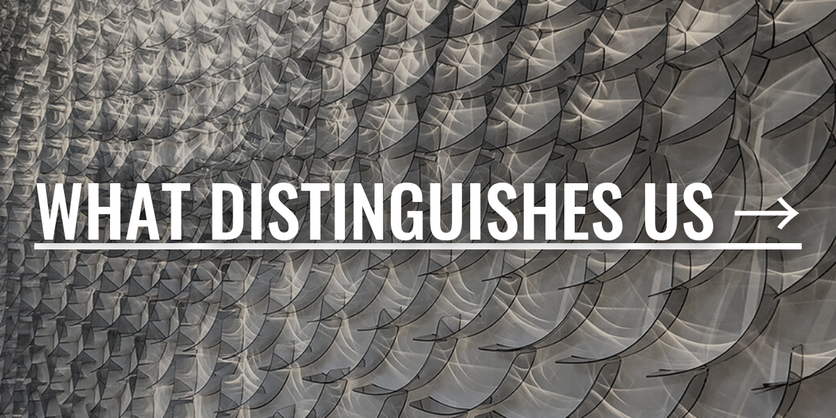 What Distinguishes Us banner