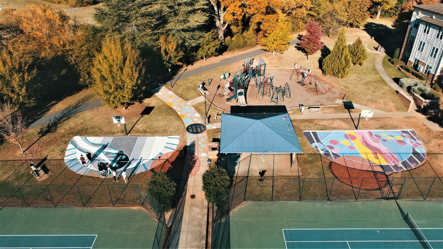 drone image of park