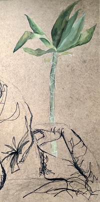 Drawing of hand and plant by Nicole Thrower