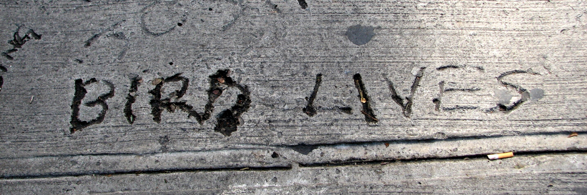concrete with the words "bird lives" scratched into it