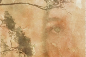 illustration of woman's face and forest fire