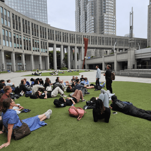students sitting on the grass 