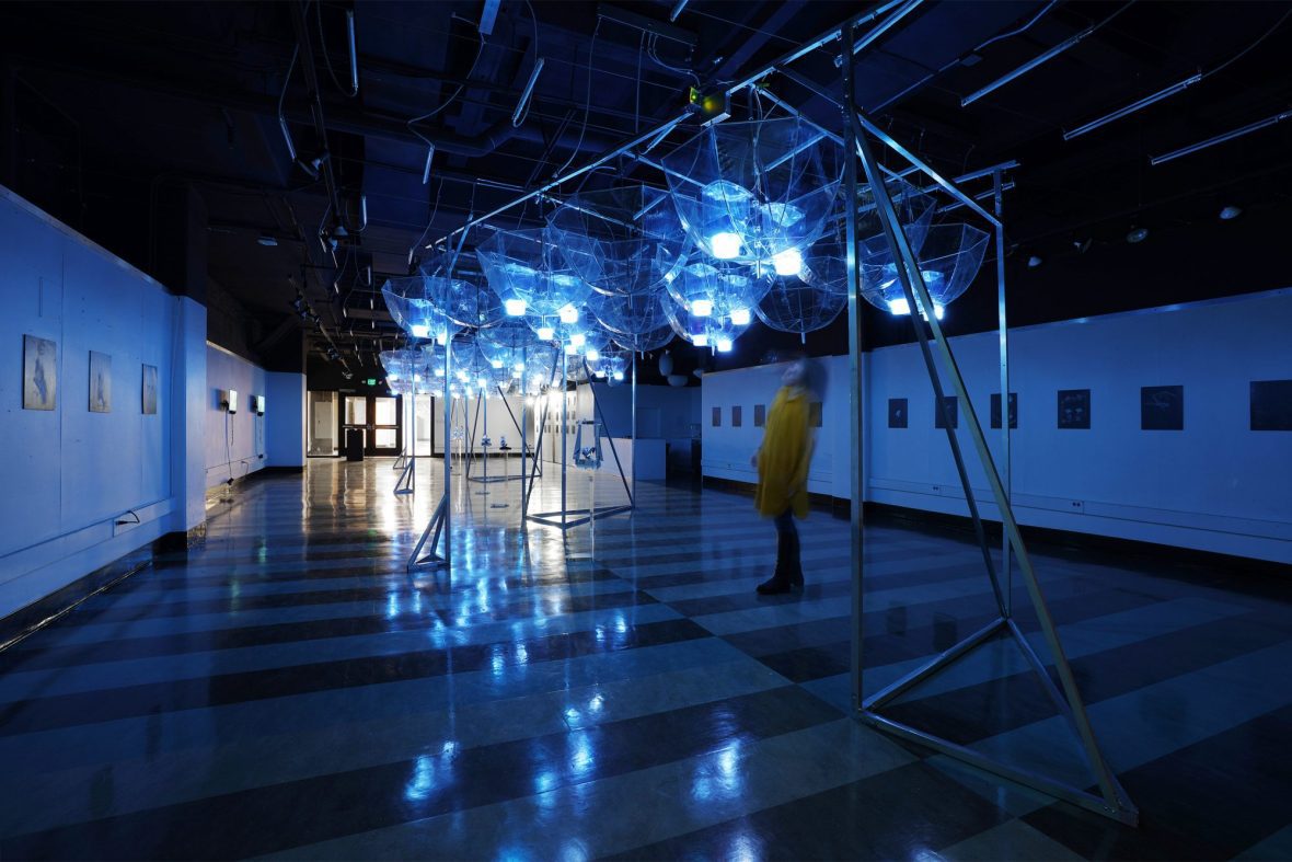 Gallery space with a person looking up at abstract clear umbrellas, all cast in a blue light