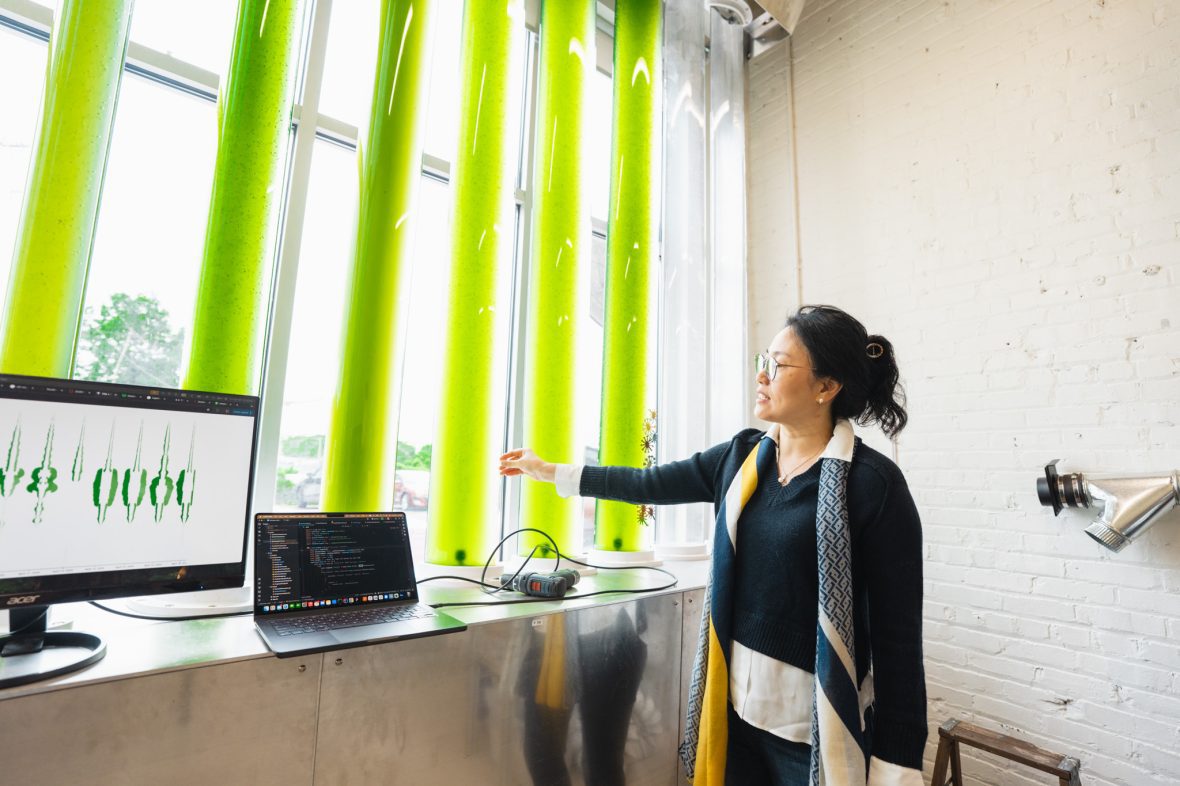 Professor Kyoung Hee Kim demonstrating her algae window installation project