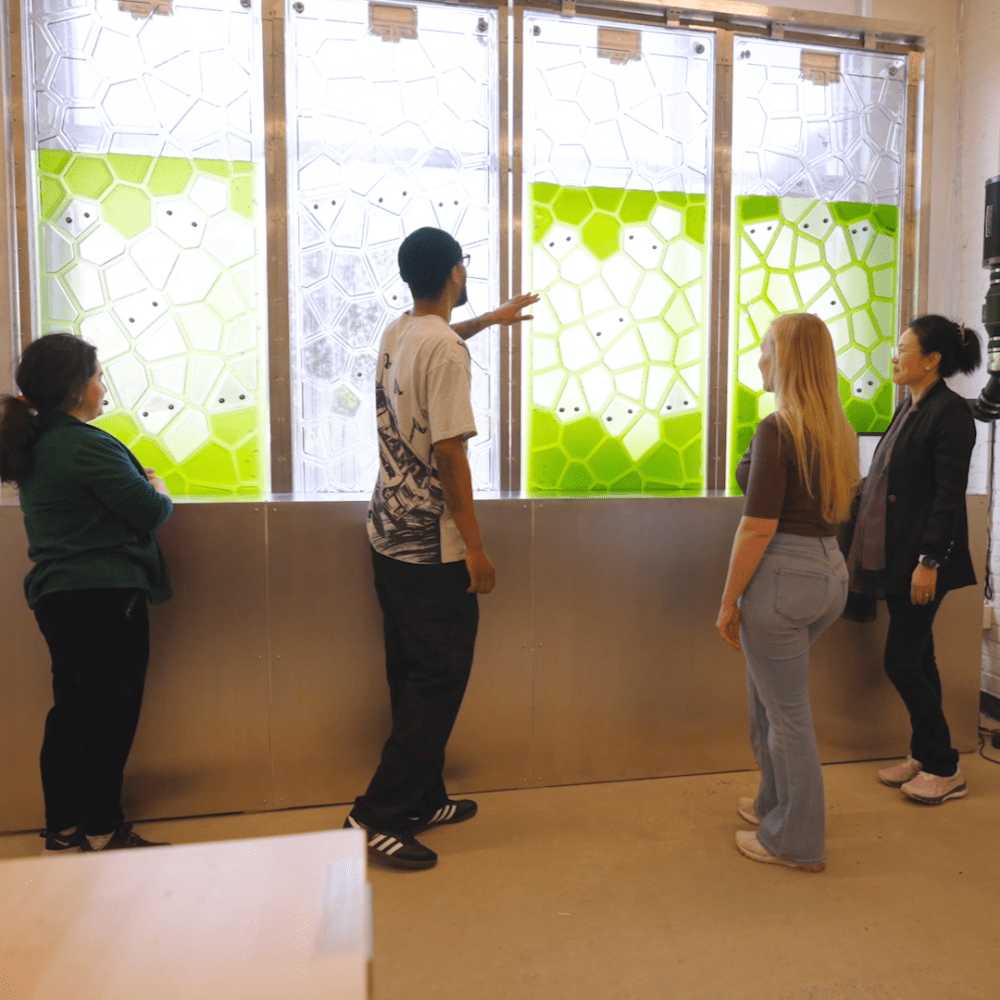 Architecture students working on algae wall with professor