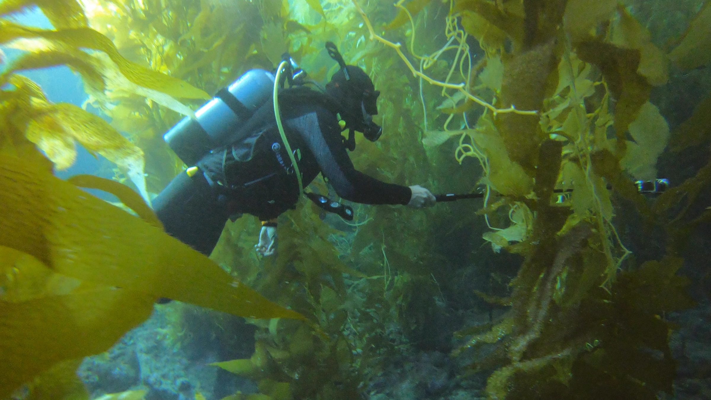 Marek Ranis_diving 2