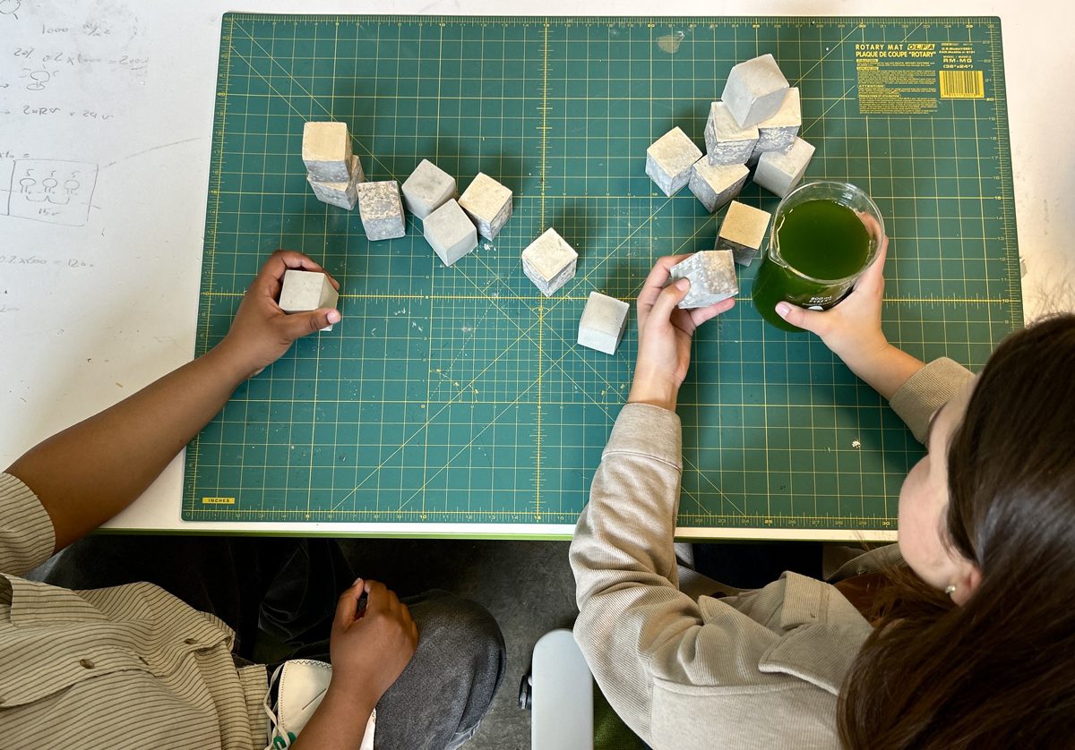 Award-winning photograph of algae-based cement.