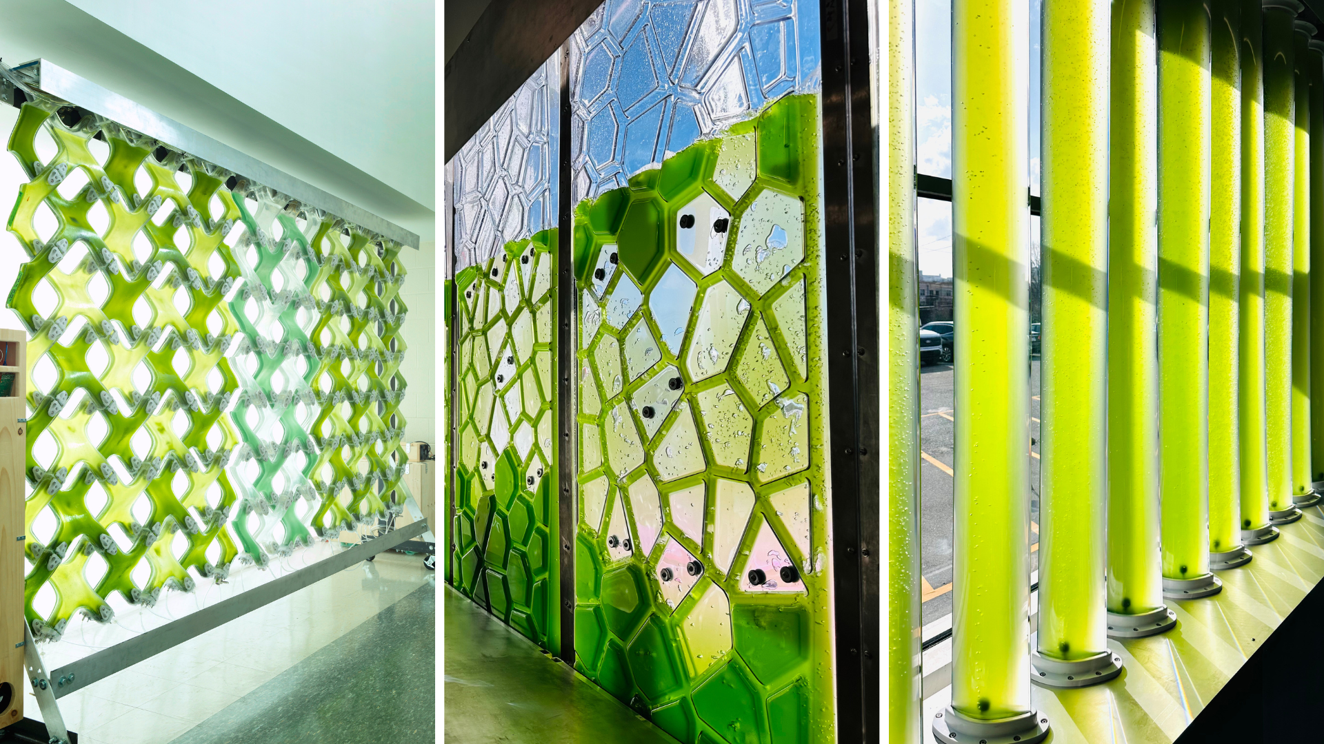 Design Evolution Kyoung Hee